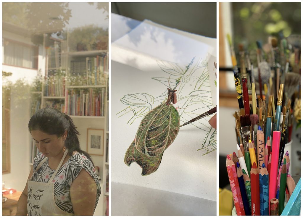 Process collage of Loreto Salinas.